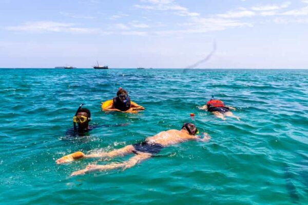 Wasini fullday, sunrise walk, visit Columbus monkey conservation,wasini islands dolphin snorkeling tour