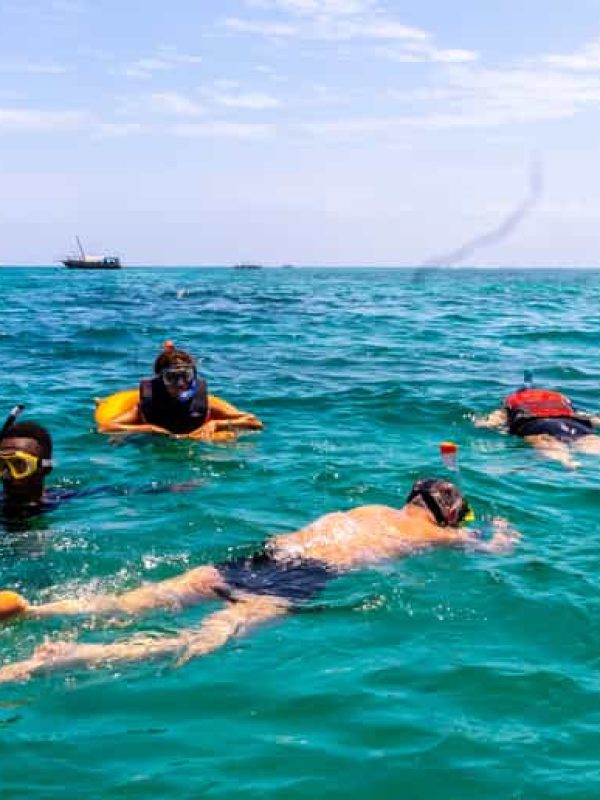 Wasini fullday, sunrise walk, visit Columbus monkey conservation,wasini islands dolphin snorkeling tour
