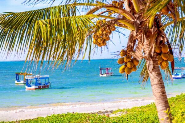 4 Days Malindi & Diani Beach Tour Itinerary (Classic Coastal Escape)