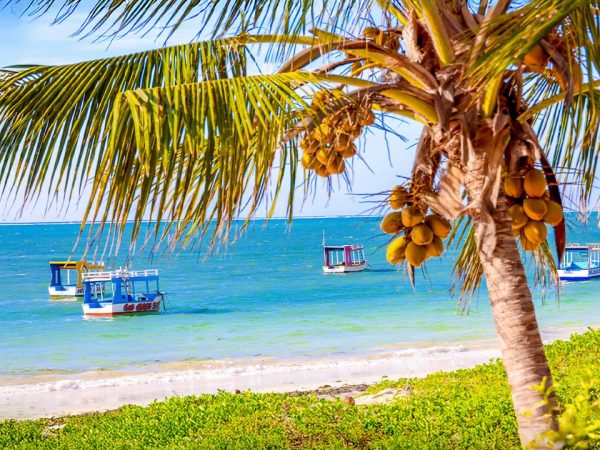 4 Days Malindi & Diani Beach Tour Itinerary (Classic Coastal Escape)