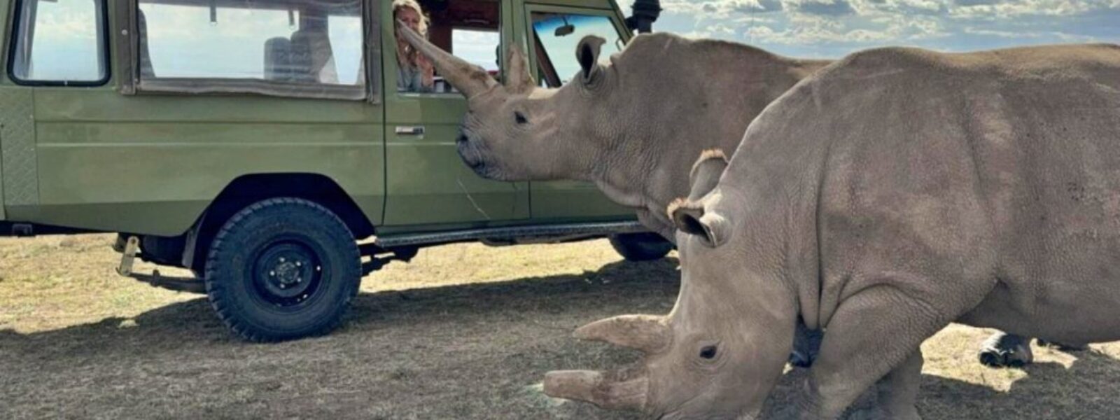 Ol Pejeta Conservancy
