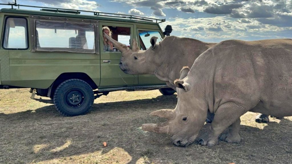 Ol Pejeta Conservancy