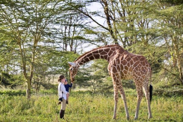 4 Days Lewa Wildlife Conservancy Safari