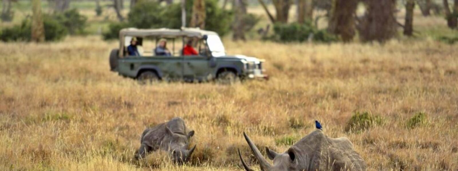 Laikipia Conservancy