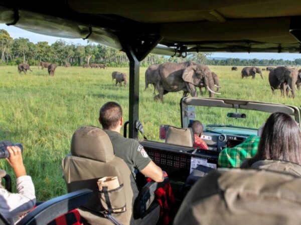 5 Days Maasai Mara & Lake Nakuru National park