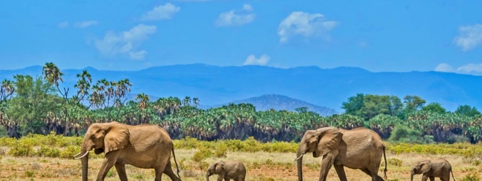Amboseli National Park