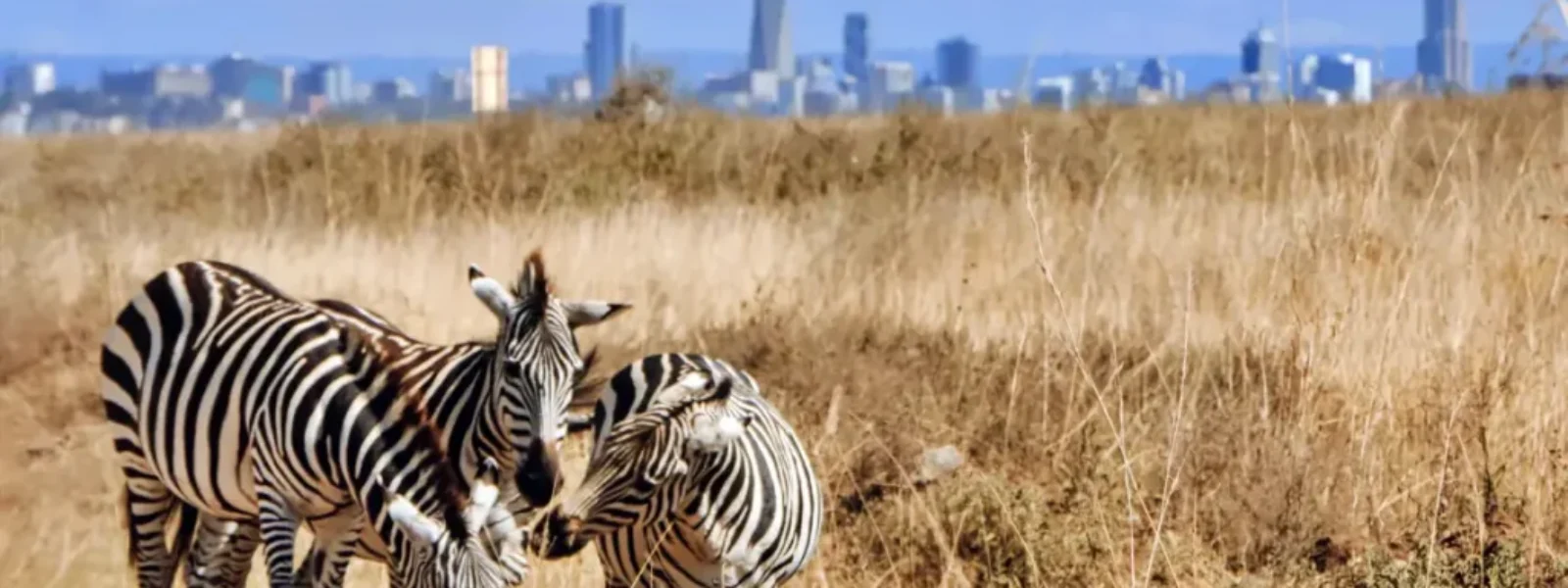 Nairobi National Park