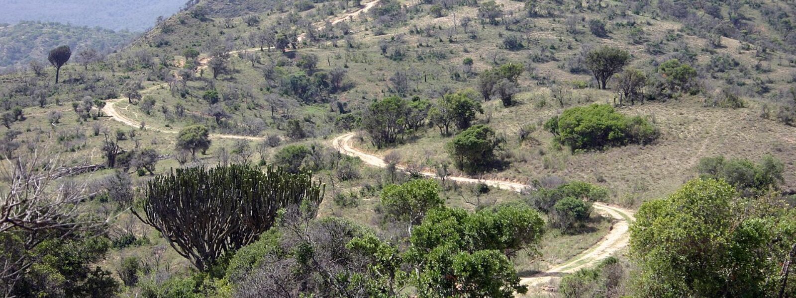 Lewa Conservancy