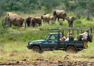Safari in the Masai Mara | Everything you need to know