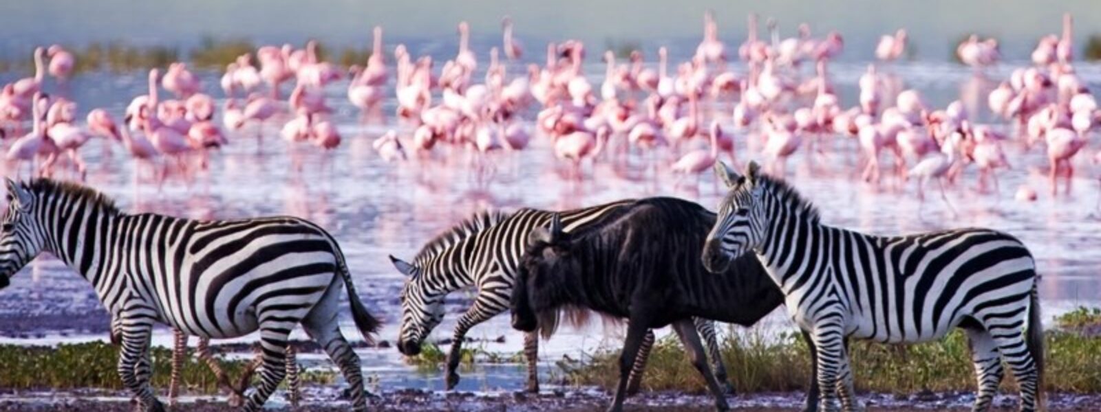 Lake Nakuru National Park