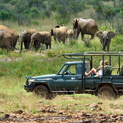 batch_Newgame_drive_